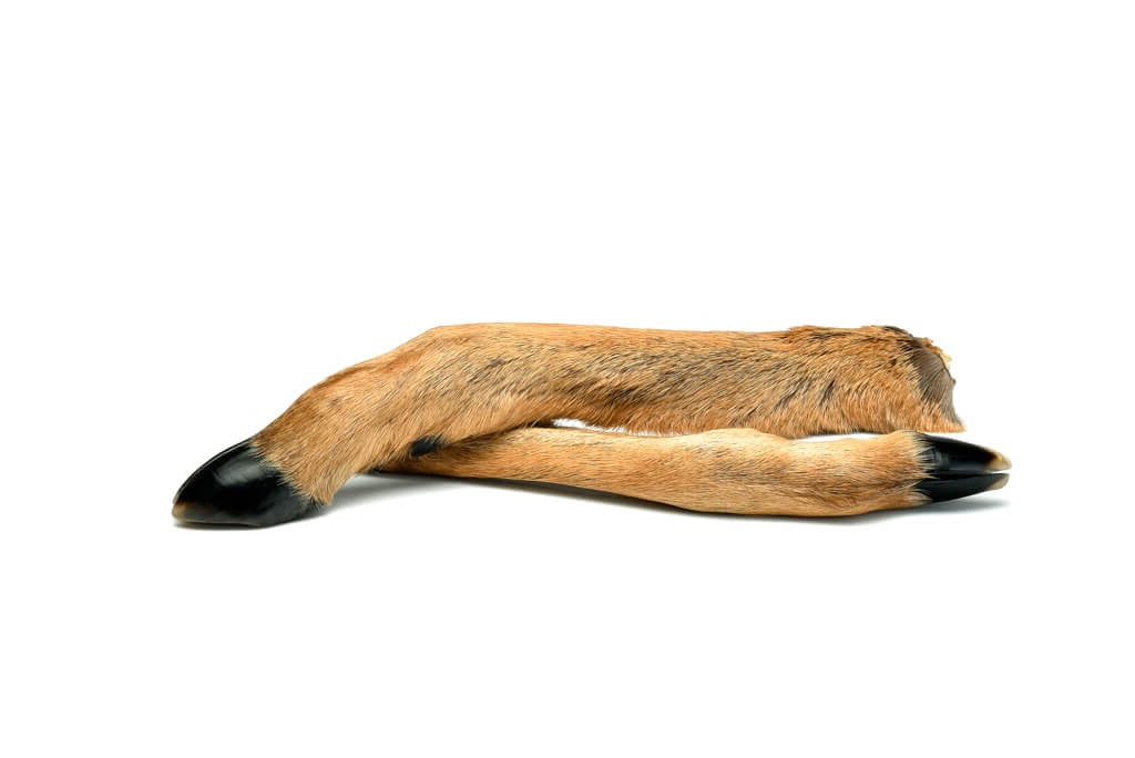 Zwei Rehbeine mit Fell liegen übereinander.