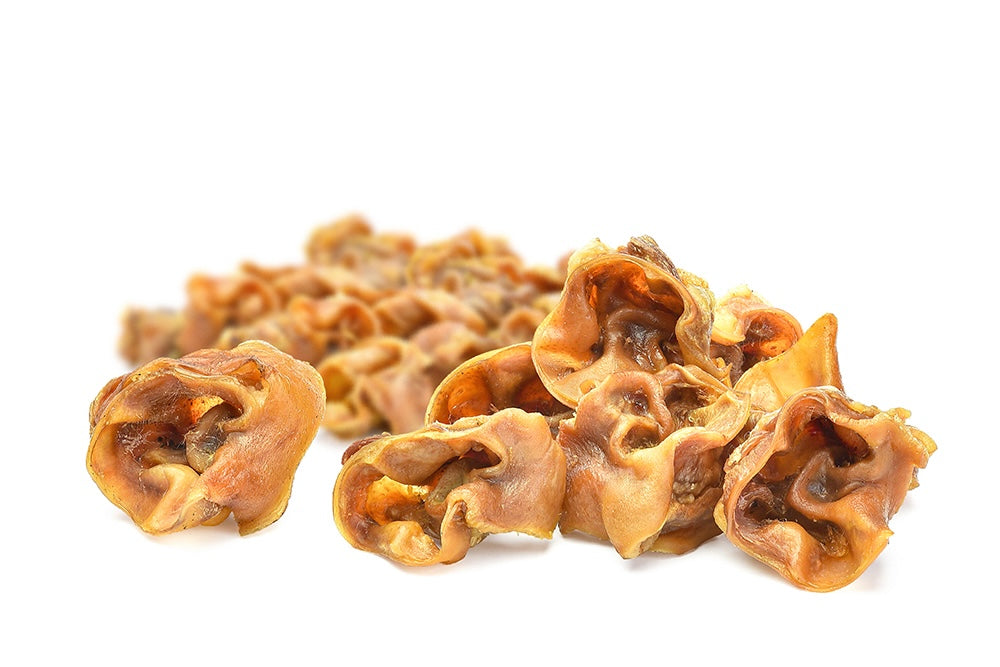 Ein Haufen getrockneter Schweinohrmuscheln.